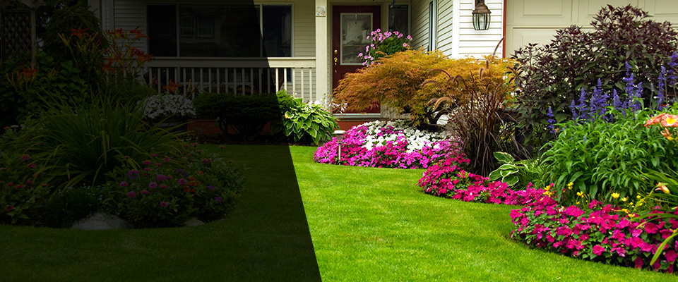 Sharon Hill Landscapers